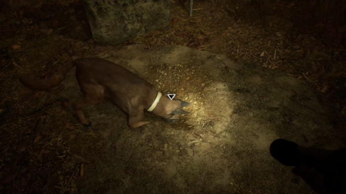 New Blair Witch Gameplay Stars Good Boy Bullet Rely On Horror 6511