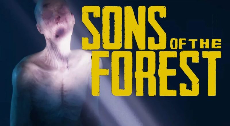 a son of the forest summary